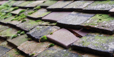 Llangua roof repair costs